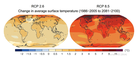 RCP image
